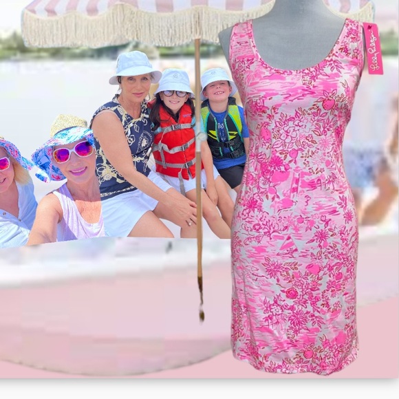 Lilly Pulitzer Newberri pink and white summer shift dress in size Large - Picture 4 of 4